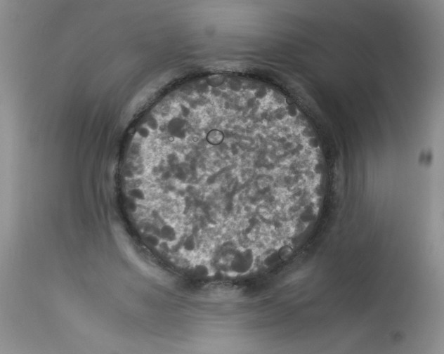 X0000113220491200910221128