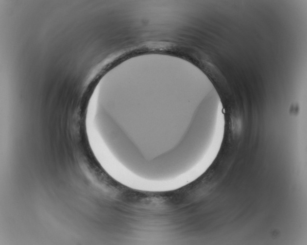 X0000113220492200910221128