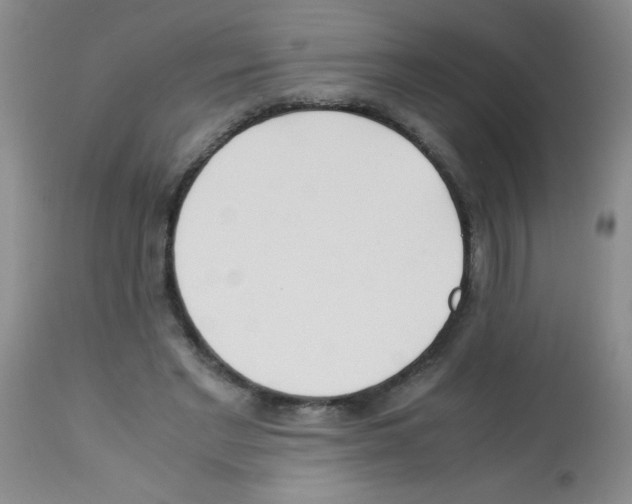 X0000113220493200910221128