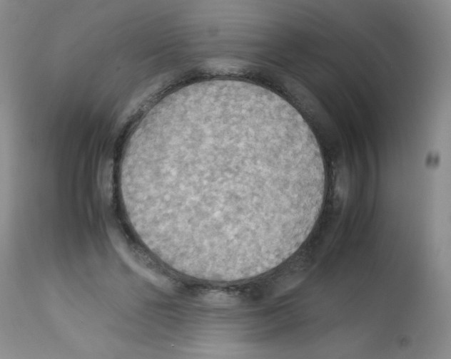 X0000113220494200910221128