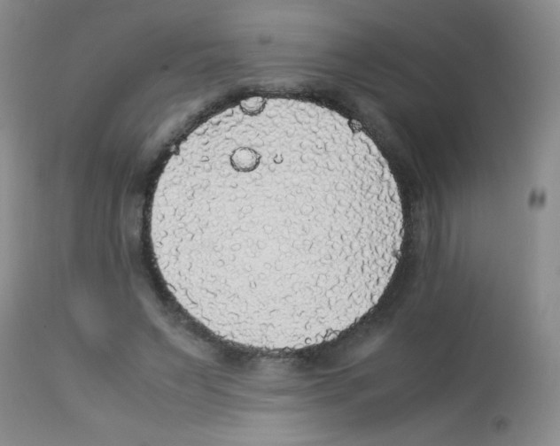 X0000113220495200910221128