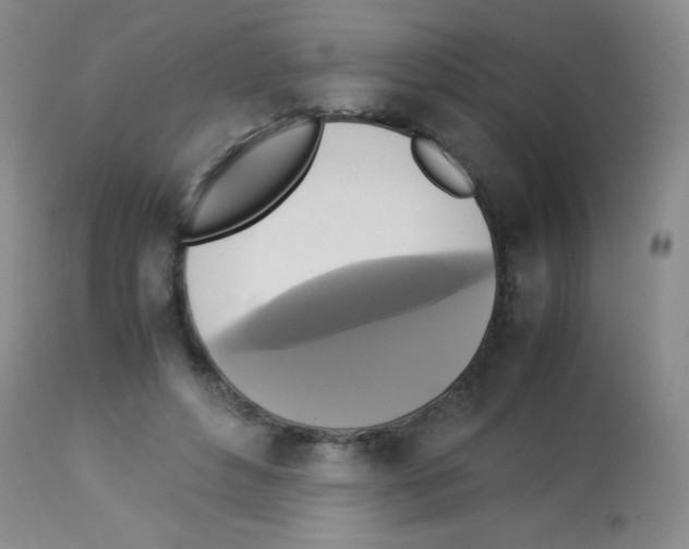 X0000113220496200910221128