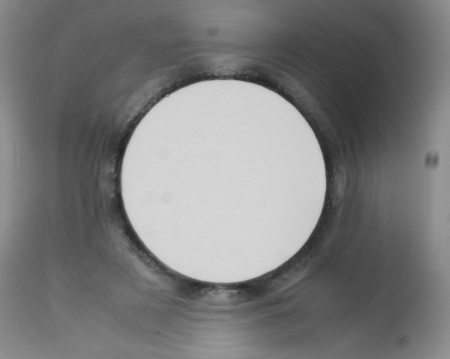 X0000113220497200910221128