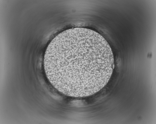 X0000113220499200910221128