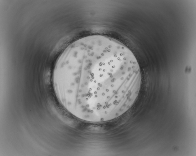 X0000113220502200910221128