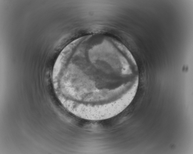 X0000113220503200910221128