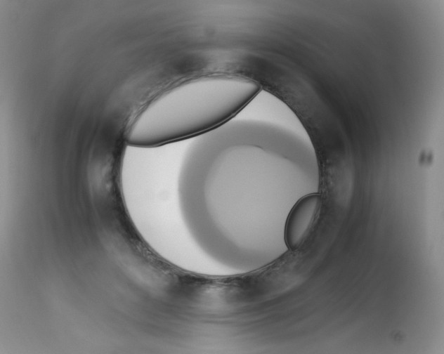 X0000113220504200910221128
