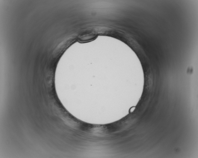 X0000113220505200910221128