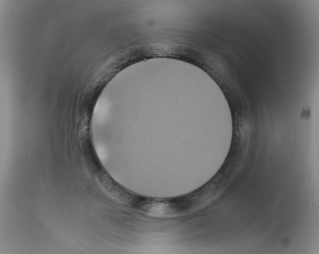 X0000113220507200910221128