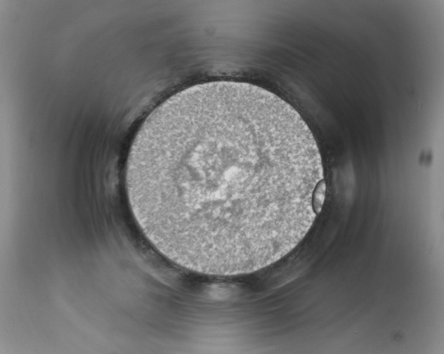 X0000113220508200910221128