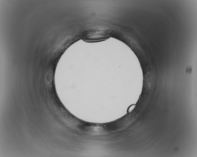 X0000113220509200910221128