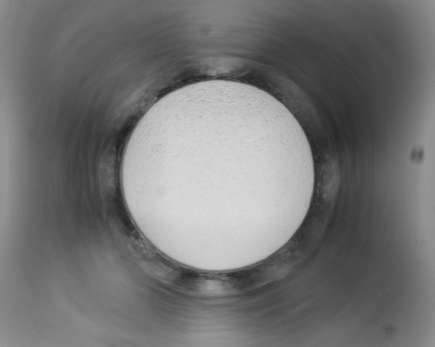 X0000113220510200910221127