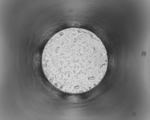 X0000113220511200910221127