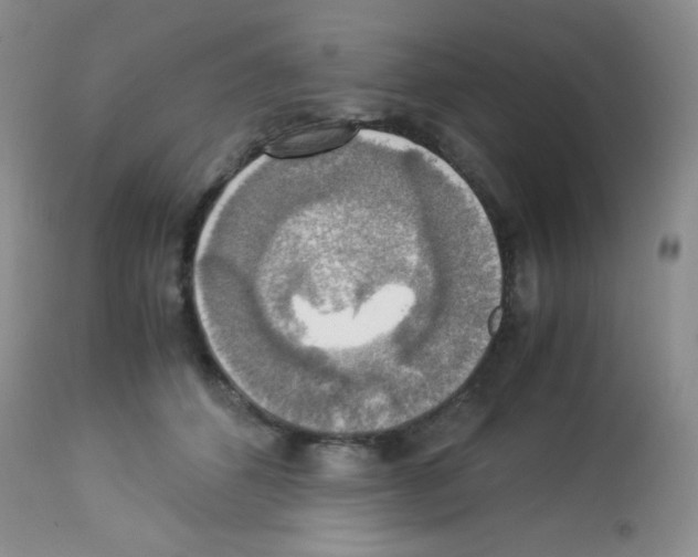 X0000113220512200910221127