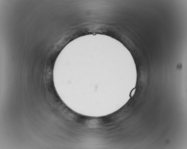 X0000113220513200910221127