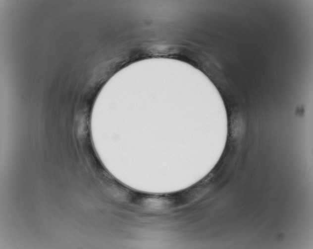 X0000113220515200910221127