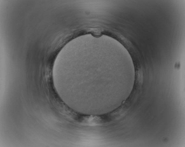 X0000113220517200910221127