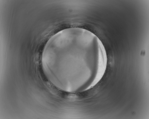 X0000113220519200910221127