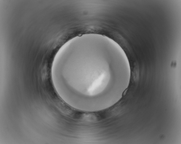 X0000113220520200910221127