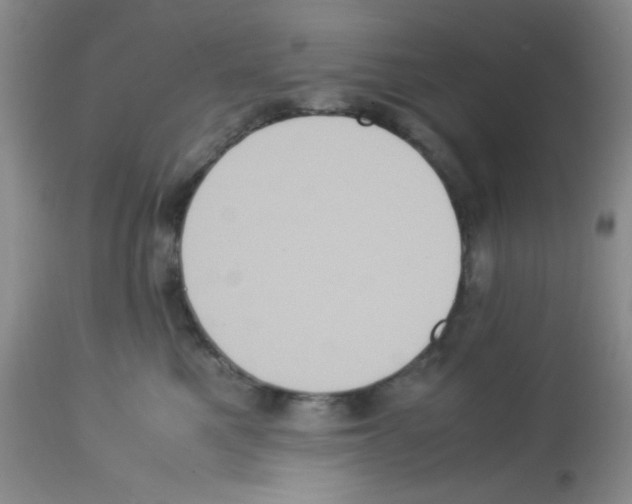 X0000113220521200910221127