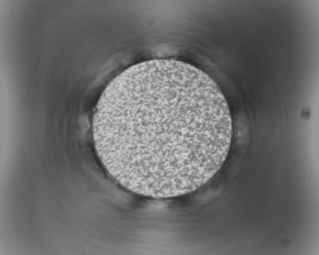 X0000113220523200910221127