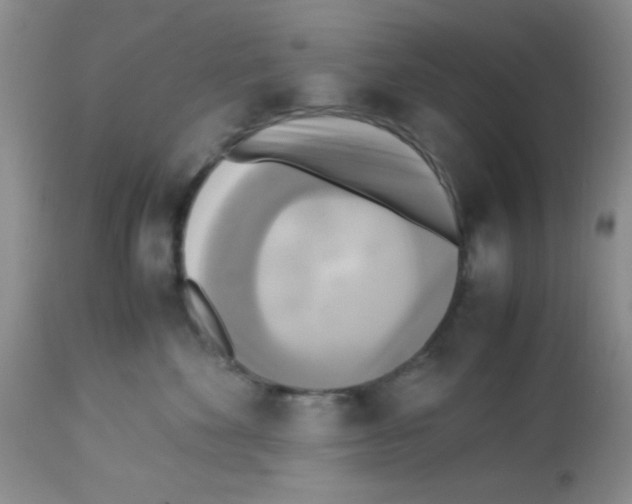 X0000113220524200910221127