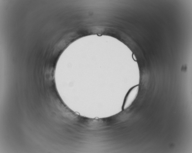 X0000113220525200910221127