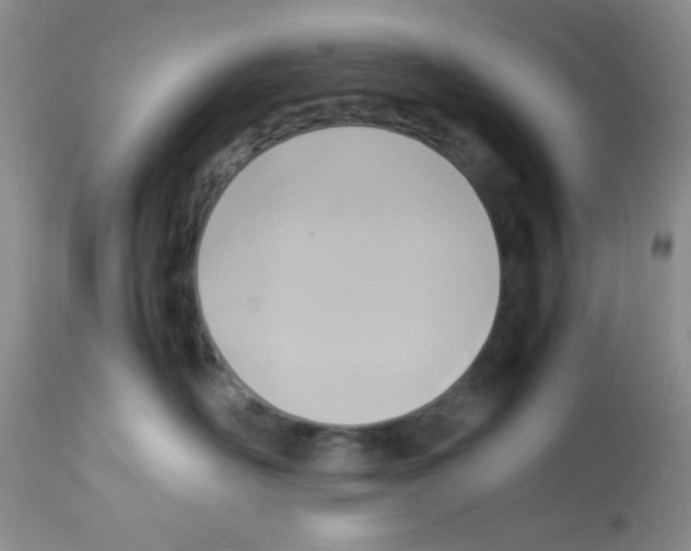 X0000113220526200910221127