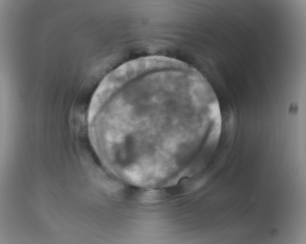 X0000113220527200910221127