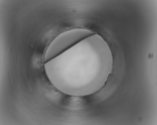 X0000113220528200910221127