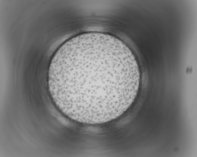 X0000113220529200910221126