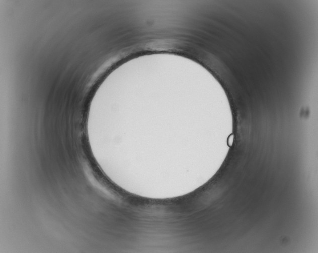 X0000113220530200910221126