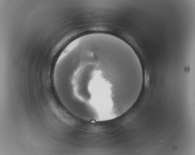 X0000113220531200910221126
