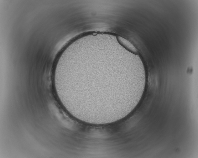 X0000113220532200910221126