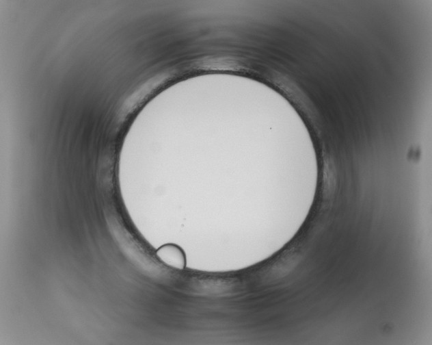 X0000113220533200910221126