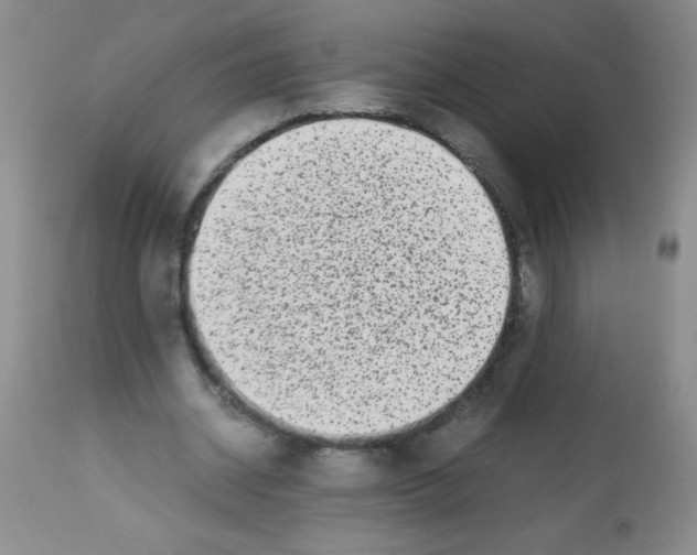 X0000113220534200910221126