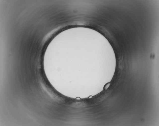 X0000113220536200910221127