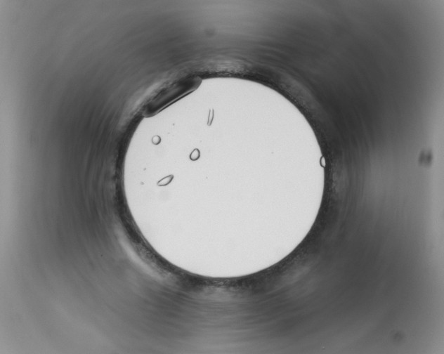 X0000113220538200910221127
