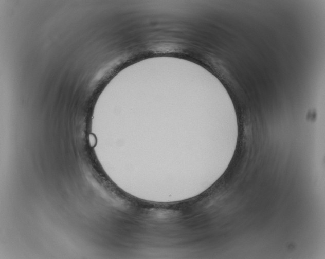 X0000113220539200910221127