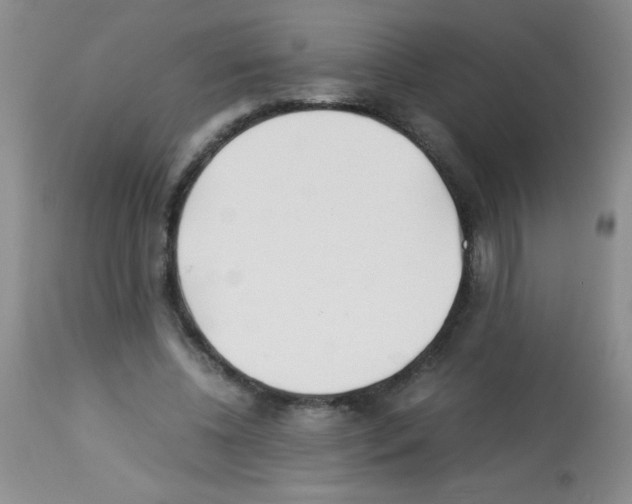 X0000113220540200910221127