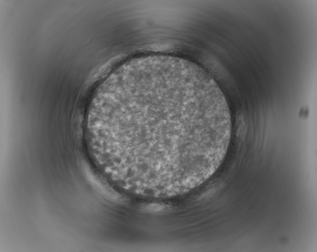 X0000113220542200910221127