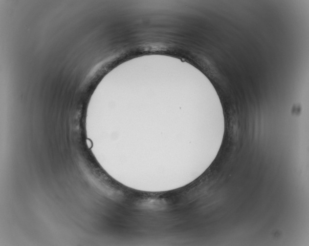 X0000113220543200910221127