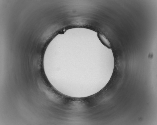 X0000113220544200910221127