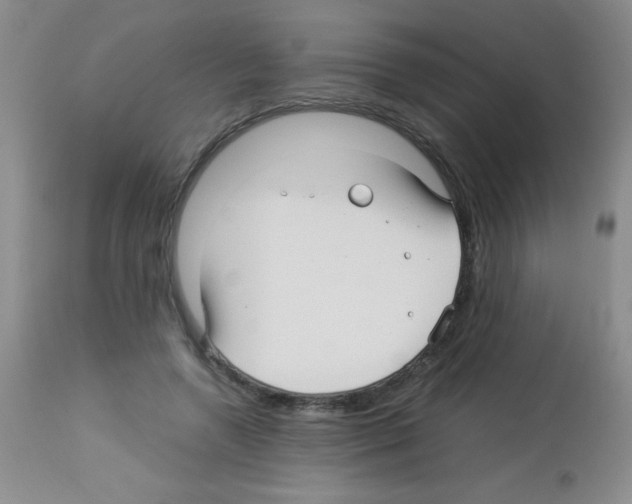 X0000113220546200910221127