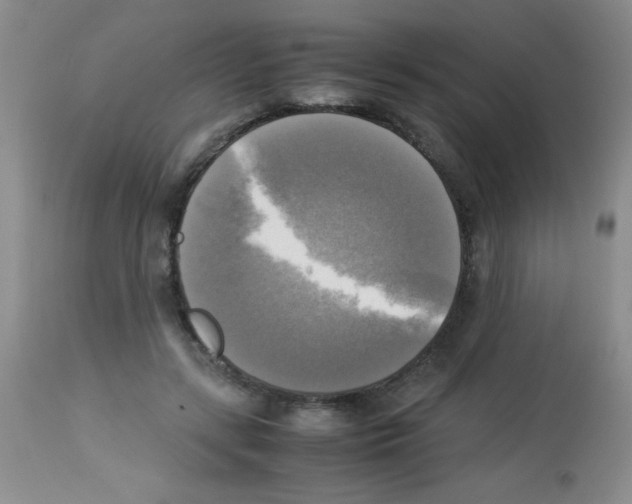 X0000113220547200910221127