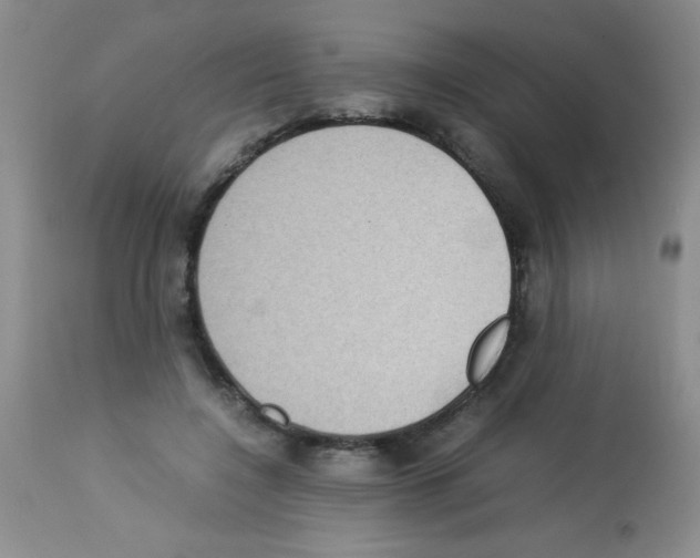 X0000113220548200910221127