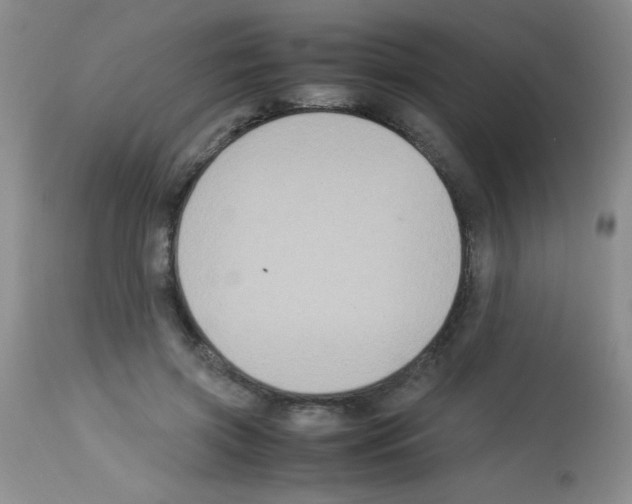 X0000113220549200910221127