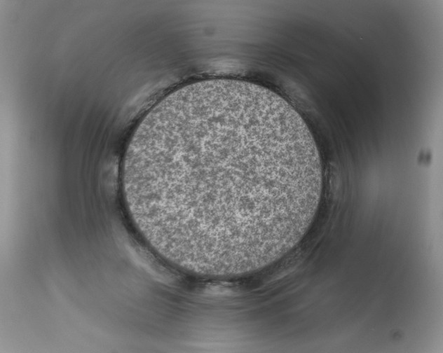 X0000113220550200910221127