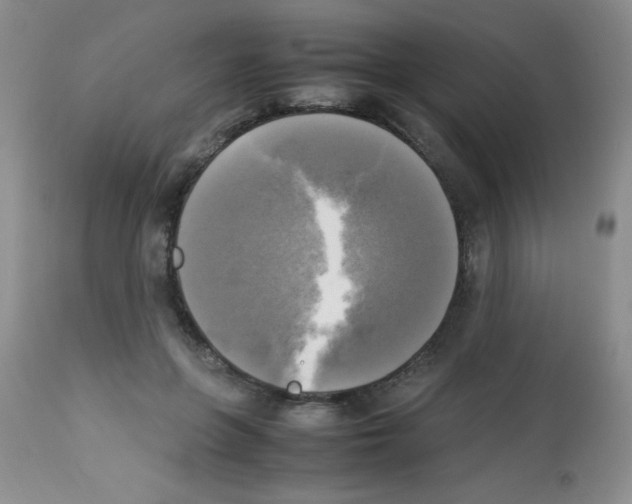 X0000113220551200910221127