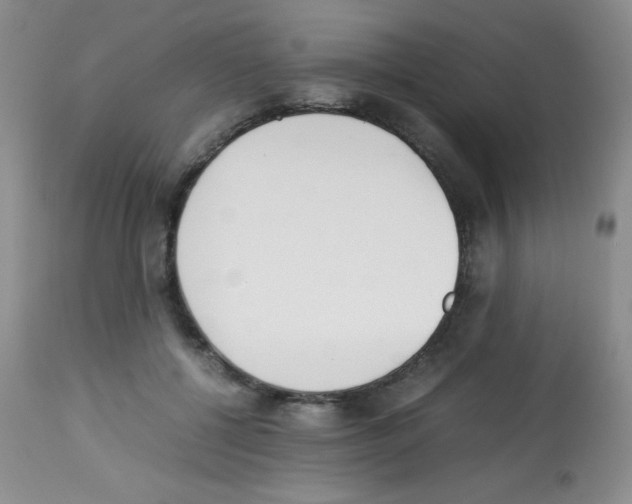 X0000113220552200910221127